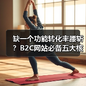 缺一个功能转化率腰斩？B2C网站必备五大核心功能揭秘