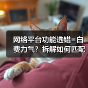 网络平台功能选错=白费力气？拆解如何匹配让你生意起飞！（图2）