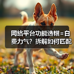 网络平台功能选错=白费力气？拆解如何匹配让你生意起飞！（图4）