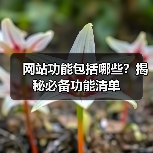 网站功能包括哪些？揭秘必备功能清单（图2）