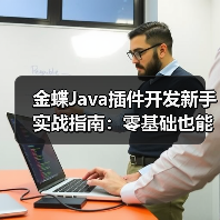 金蝶Java插件开发新手实战指南：零基础也能轻松上手