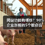网站功能有哪些？90%企业忽视的5个致命盲区