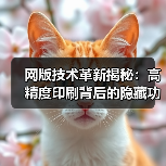 网版技术革新揭秘:高精度印刷背后的隐藏功能(图2) 网版技术革新揭秘:高精度印刷背后的隐藏功能(图2)