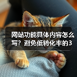 网站功能具体内容怎么写?避免低转化率的3大秘诀(图1) 网站功能具体内容怎么写?避免低转化率的3大秘诀(图1)