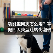 功能型网页怎么用?掌握四大类型让转化翻倍(图2) 功能型网页怎么用?掌握四大类型让转化翻倍(图2)
