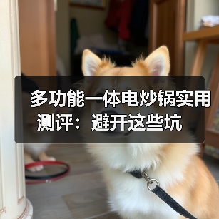 多功能一体电炒锅实用测评:避开这些坑(图2) 多功能一体电炒锅实用测评:避开这些坑(图2)
