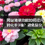 网站简单功能如何提升转化率3倍?避免复杂设计的三大误区(图2) 网站简单功能如何提升转化率3倍?避免复杂设计的三大误区(图2)