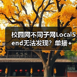 校园网不同子网LocalSend无法发现？单播+工具进程破解方案