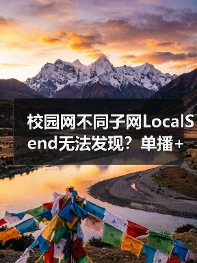 校园网不同子网LocalSend无法发现？单播+工具进程破解方案（图3）