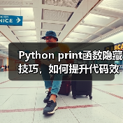Python print函数隐藏技巧，如何提升代码效率？（图2）