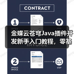 金蝶云苍穹Java插件开发新手入门教程，零基础也能学会？