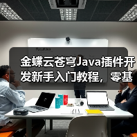 金蝶云苍穹Java插件开发新手入门教程，零基础也能学会？（图4）