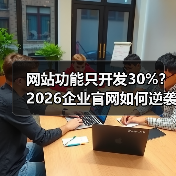 网站功能只开发30%？2026企业官网如何逆袭赚钱