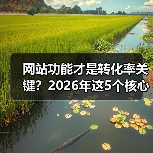 网站功能才是转化率关键？2026年这5个核心功能你必须知道（图3）