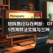 矩阵路径存在判断：DFS回溯算法实现与三种优化方案详解（图2）