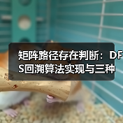 矩阵路径存在判断：DFS回溯算法实现与三种优化方案详解（图3）