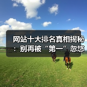 网站十大排名真相揭秘：别再被“第一”忽悠了！（图3）