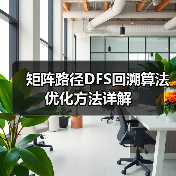 矩阵路径DFS回溯算法优化方法详解（图3）