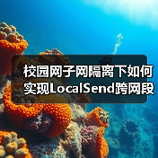 校园网子网隔离下如何实现LocalSend跨网段发现？（图4）