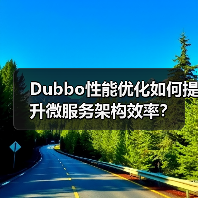 Dubbo性能优化如何提升微服务架构效率？（图4）
