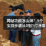 网站功能怎么做?5个实战步骤从0到1打造高转化(图3) 网站功能怎么做?5个实战步骤从0到1打造高转化(图3)