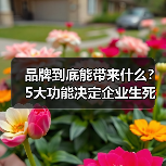 品牌到底能带来什么？5大功能决定企业生死（图2）