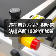 还在用老方法?揭秘网站排名前100的实战策略(图2) 还在用老方法?揭秘网站排名前100的实战策略(图2)