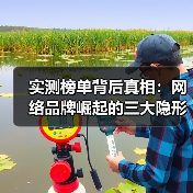 实测榜单背后真相：网络品牌崛起的三大隐形关键（图2）