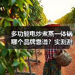 多功能电炒煮蒸一体锅哪个品牌靠谱？实测避坑指南（图4）