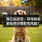 独立站运营：亚马逊卖家如何分散封号风险？（图2）