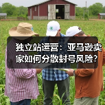 独立站运营：亚马逊卖家如何分散封号风险？（图4）