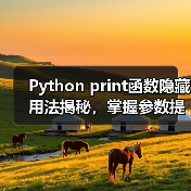 Python print函数隐藏用法揭秘，掌握参数提升开发效率（图2）