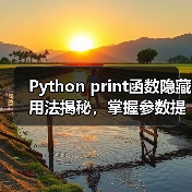 Python print函数隐藏用法揭秘，掌握参数提升开发效率（图4）