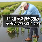 16G显卡微调大模型如何避免显存溢出？显存消耗三大真相揭秘（图4）
