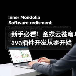 新手必看！金蝶云苍穹Java插件开发从零开始教程（图2）