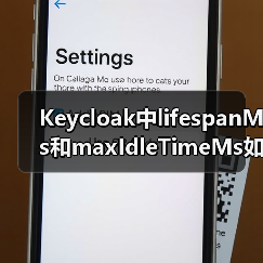Keycloak中lifespanMs和maxIdleTimeMs如何影响会话超时？（图2）