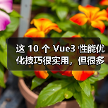 这 10 个 Vue3 性能优化技巧很实用，但很多项目都没用上
