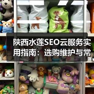 陕西水莲SEO云服务实用指南：选购维护与常见问题解析（图2）
