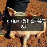 0.1加0.2为什么不等于0.3（图4）