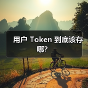 用户 Token 到底该存哪？