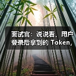 面试官：说说看，用户登录后拿到的 Token，你应该怎么存？存哪里？（图1）