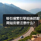 吸引搜索引擎蜘蛛抓取网站需要注意什么?(图1) 吸引搜索引擎蜘蛛抓取网站需要注意什么?(图1)