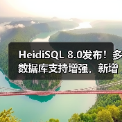 HeidiSQL 8.0发布！多数据库支持增强，新增23种语言及修复关键BUG（图2）