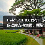 HeidiSQL 8.0发布！多数据库支持增强，新增23种语言及修复关键BUG（图3）
