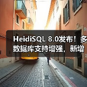 HeidiSQL 8.0发布！多数据库支持增强，新增23种语言及修复关键BUG（图4）