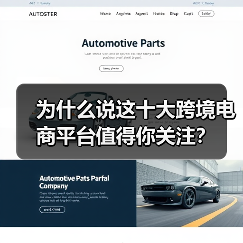 为什么说这十大跨境电商平台值得你关注？（图3）