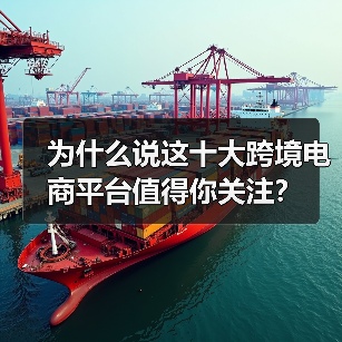 为什么说这十大跨境电商平台值得你关注？（图4）