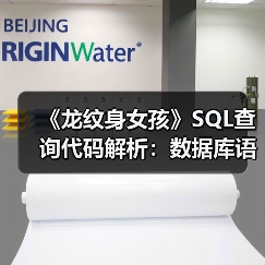 《龙纹身女孩》SQL查询代码解析：数据库语法差异揭秘（图4）