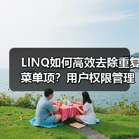 LINQ如何高效去除重复菜单项？用户权限管理实例详解（图4）