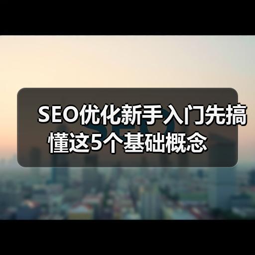 SEO优化新手入门先搞懂这5个基础概念